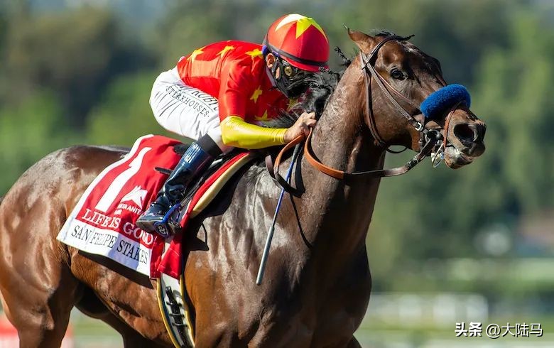 华人唯一的“世界杯”冠军赛马:“美好人生”退役配种费10万美元