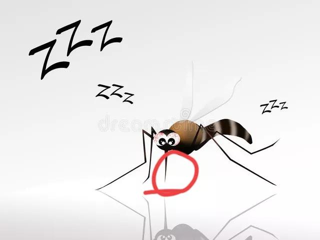 蚊子的吸血过程有多可怕,蚊子吸血时最怕什么