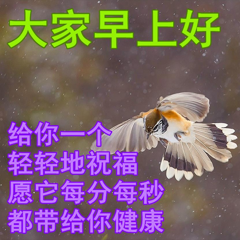 早安心语正能量激励人的励志句子,早安心语正能量激励经典句子