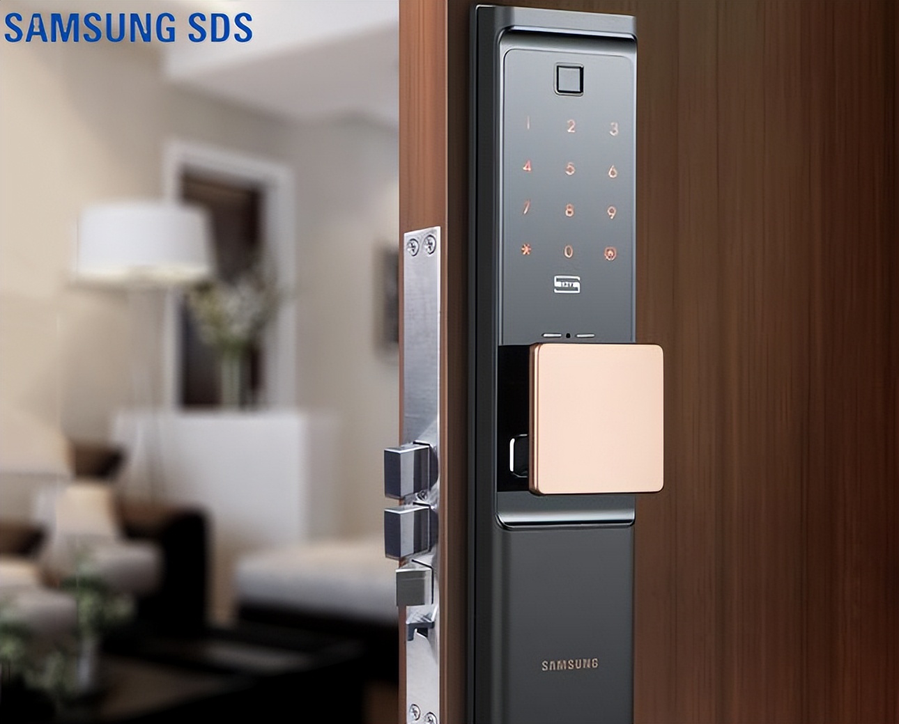 有吸引力的智能门锁加盟,智能门锁加盟排名