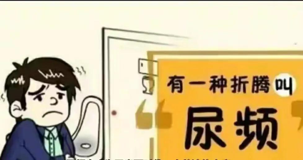 肾阳虚，尿频？5味中药，补肾阳，暖肾元，固精缩尿