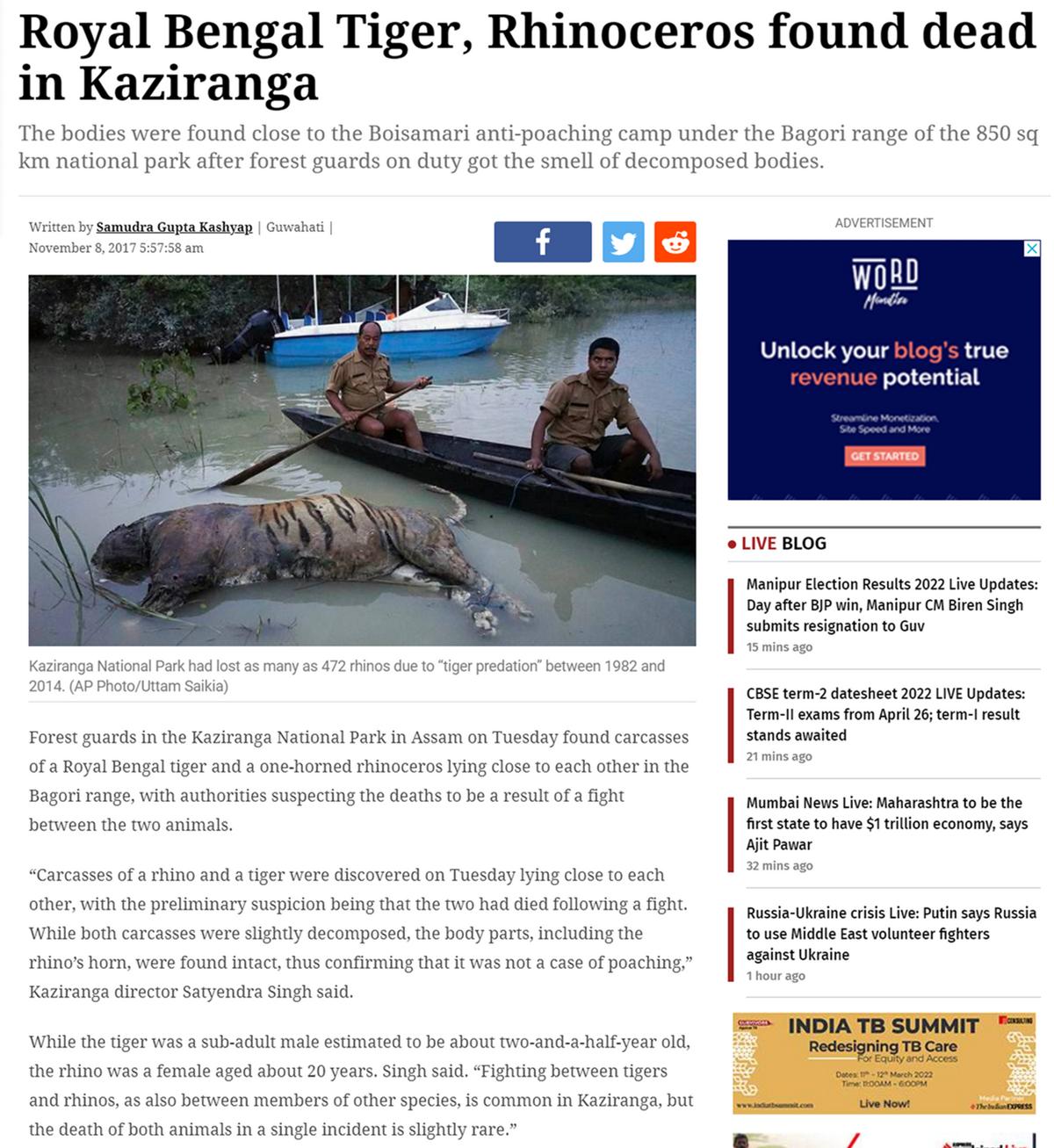 猫科战斗力分析,猫科打不过熊科