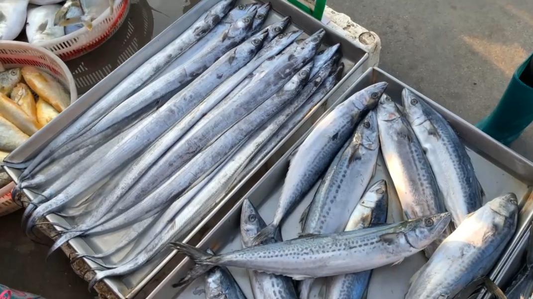 我国公认最好吃的5种鱼,十种最好吃的鱼有哪些