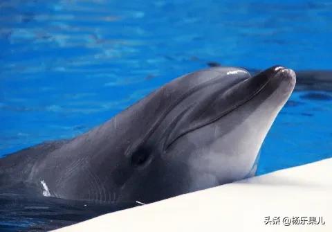 湖南长沙市一景,湖南长沙市风景点大全