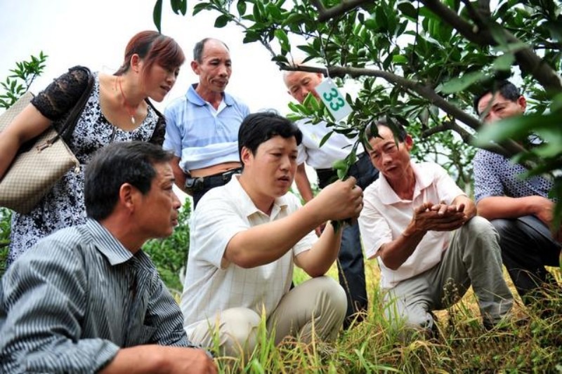 农村种什么能亩产值5千左右,近几年种植什么最赚钱