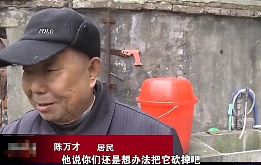 15岁少年偷开奔驰车撞死人逃逸,少年偷开奔驰撞死人逃逸