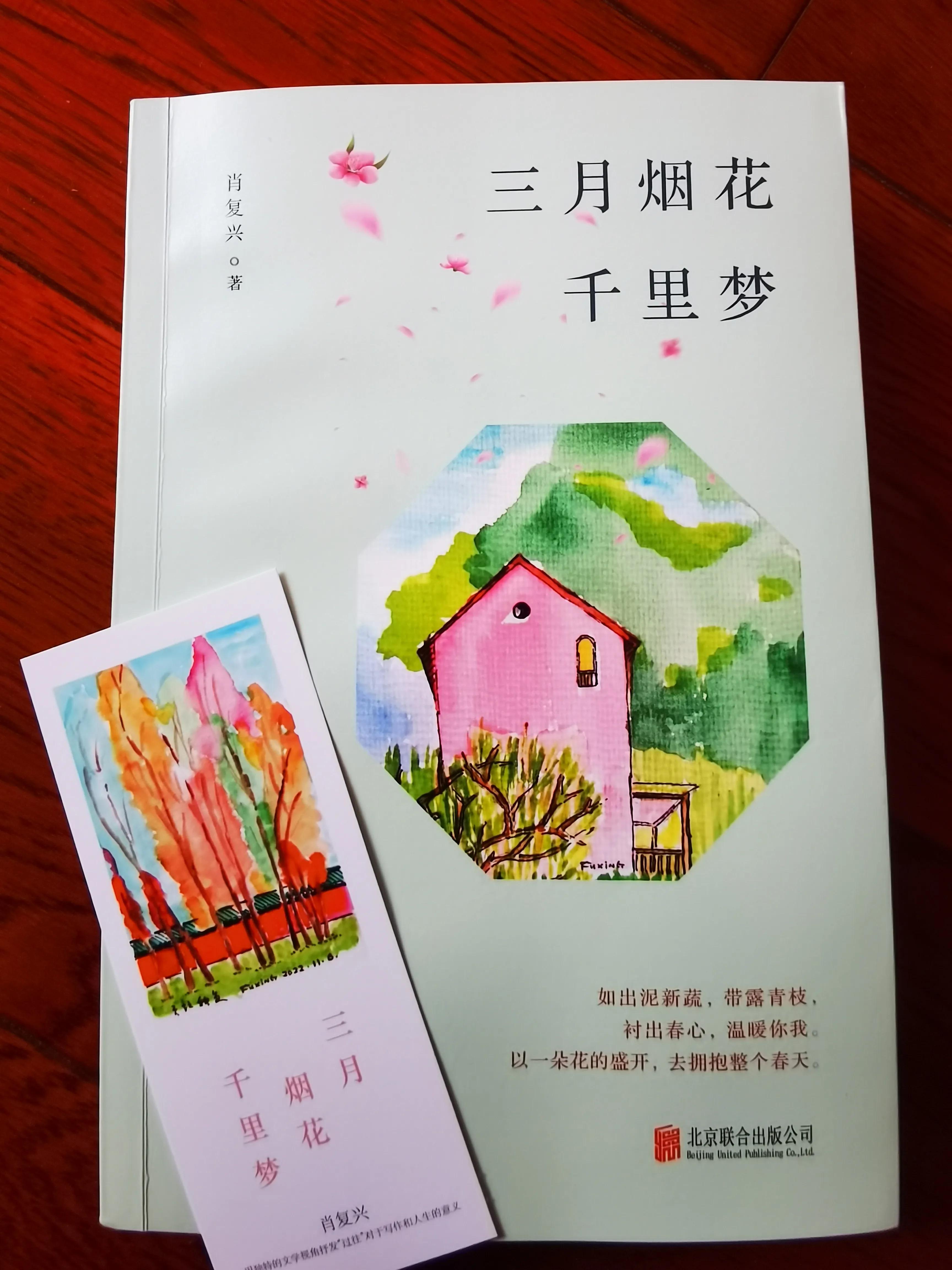 见证一朵花的盛开拥抱整个春天,每一朵花开都是一整个春天