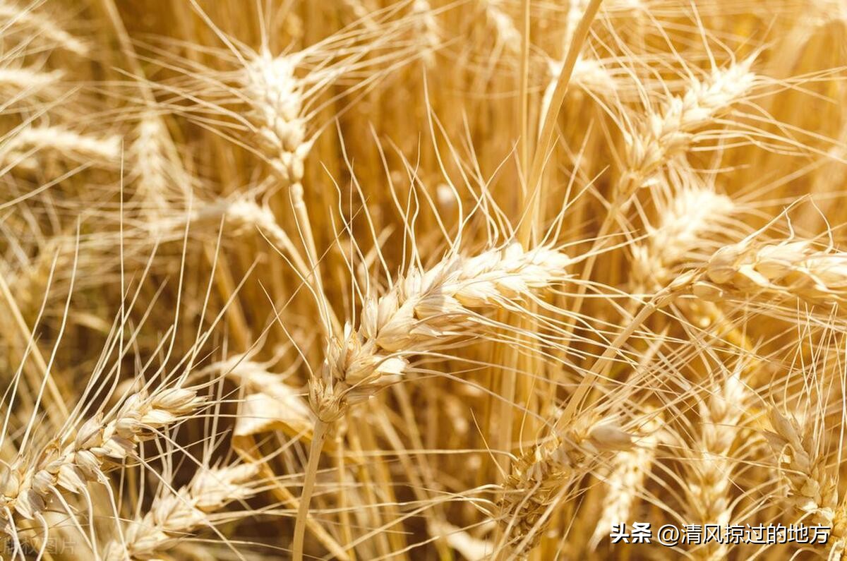 记忆中老家的冬天,记忆里冬天