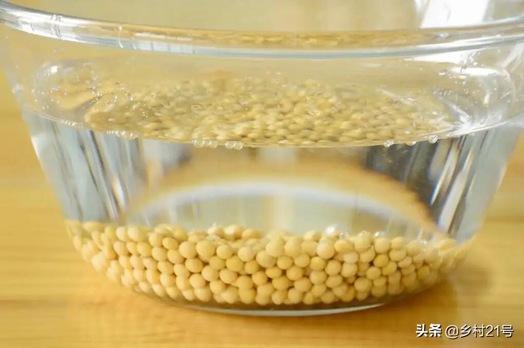 自制的黄豆肥使用方法,黄豆发酵液体肥效果