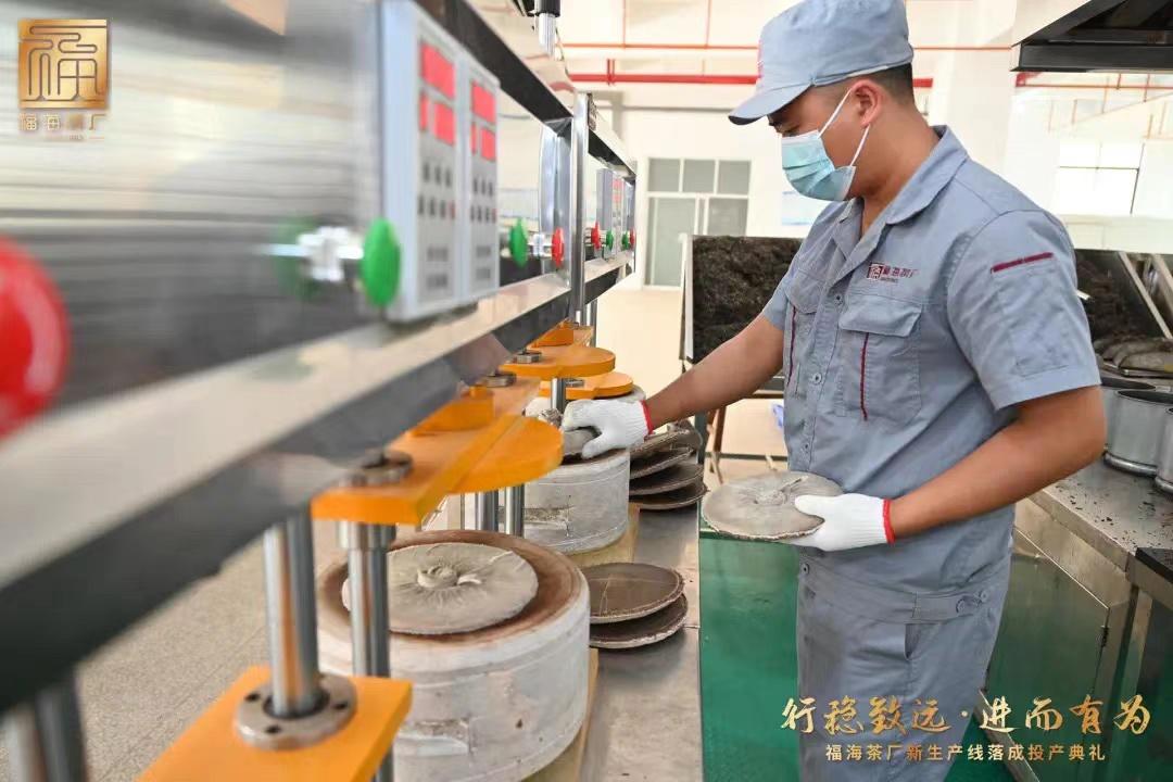 福海茶厂原料,福海茶厂地址