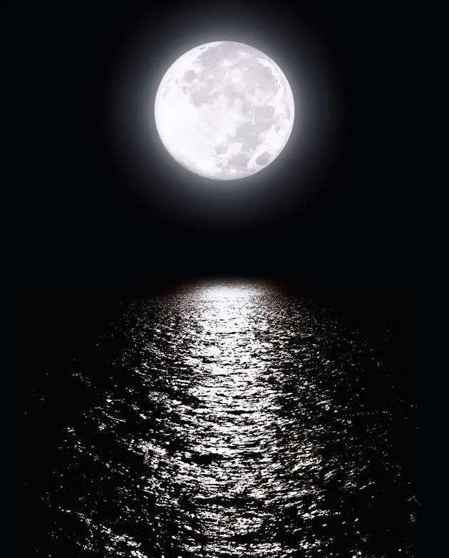 梦幻洱海白纱婚纱照,梦幻洱海