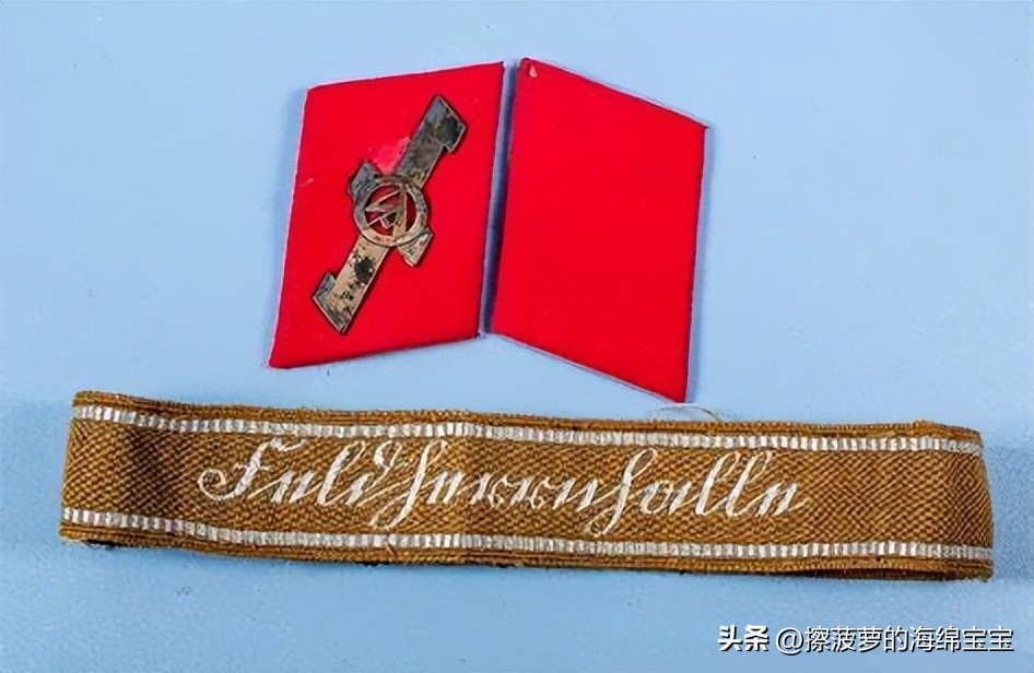 纳粹冲锋队用的什么枪,纳粹德军军衔图解