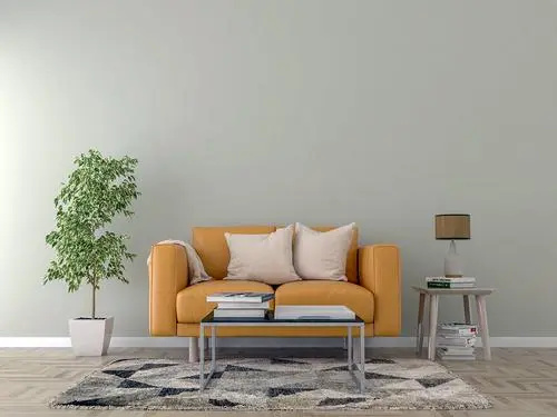 帝王花盆栽怎么做好看,帝王花盆栽养殖方法