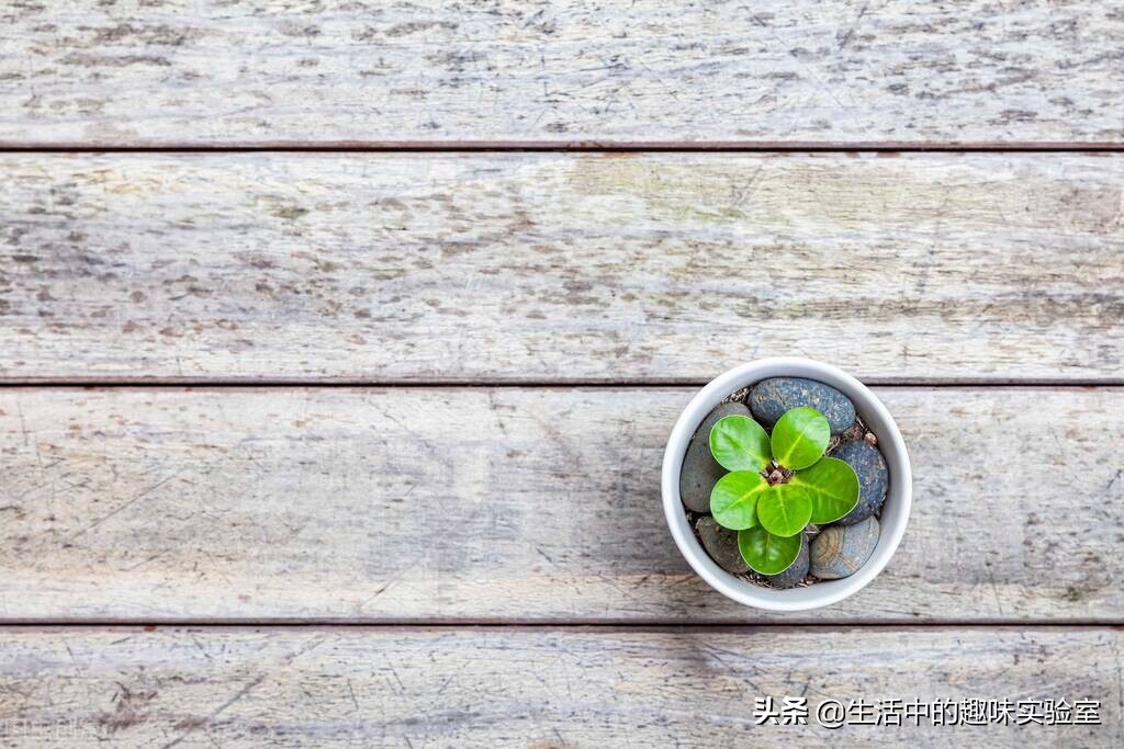 生活中常见的东西却又很实用,生活中最常见的东西是什么