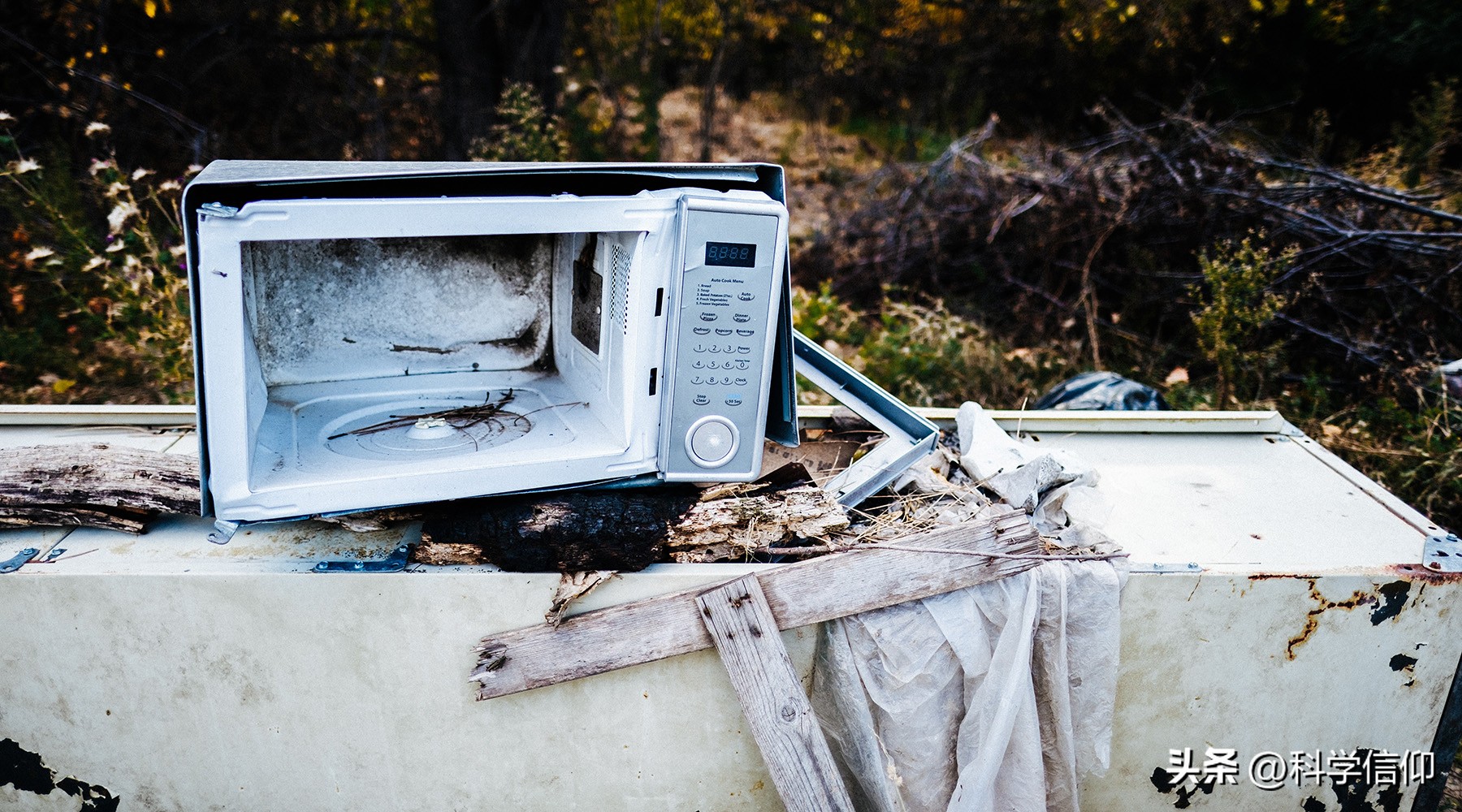 微波炉几分钟杀病菌,杀灭蚊蝇最好方法