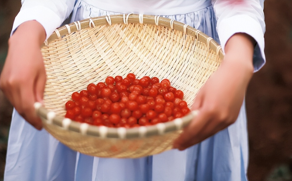 现代网络流行语用古诗词怎么说,当流行语句遇上古诗文会有多惊艳