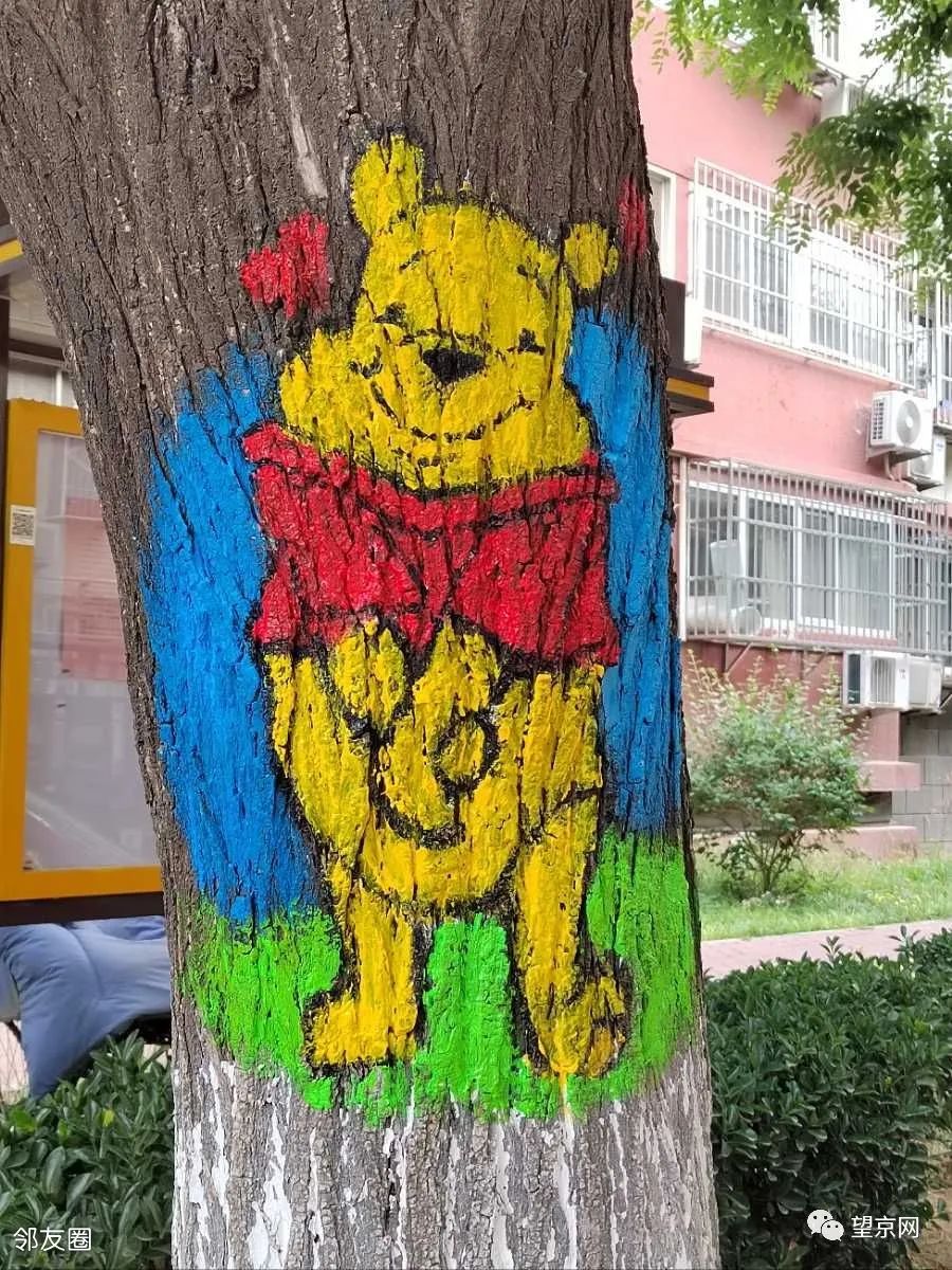 blueglass酸奶望京,blueglass酸奶望京凯德