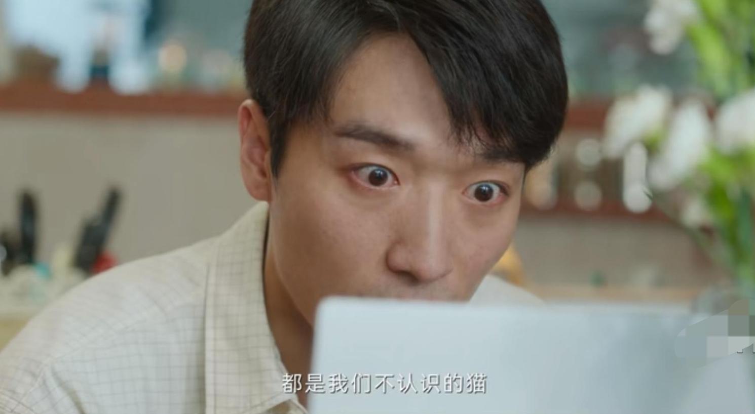 外婆的新世界虐猫后续沈东是谁,外婆的新世界沈东