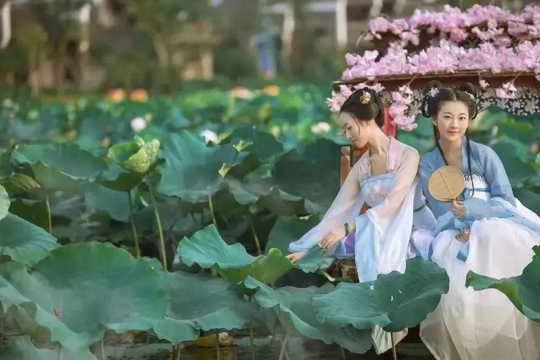 端午赛龙舟长沙,端午长沙旅游攻略美食攻略