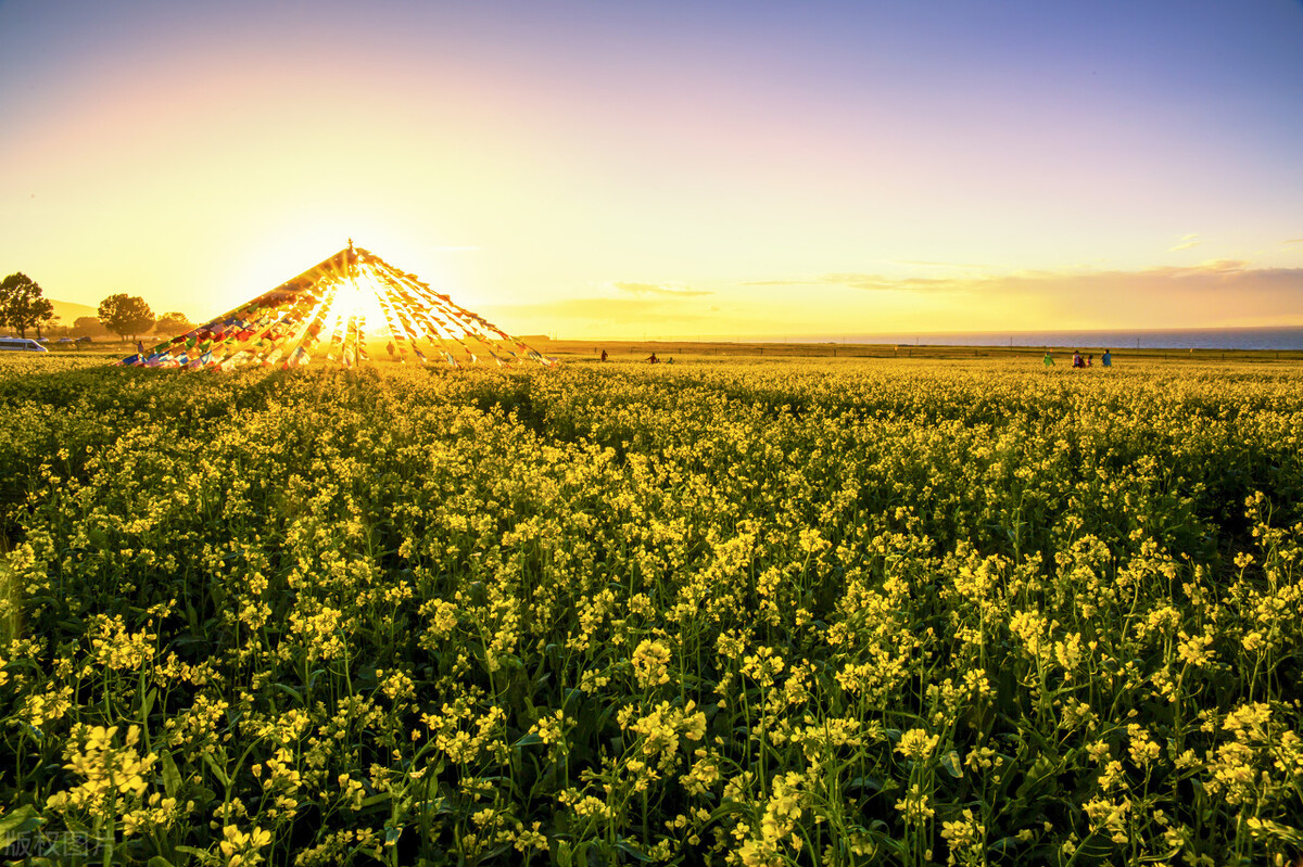 考研三战失败我转行做玄学博主,我考研失败了应该怎么办