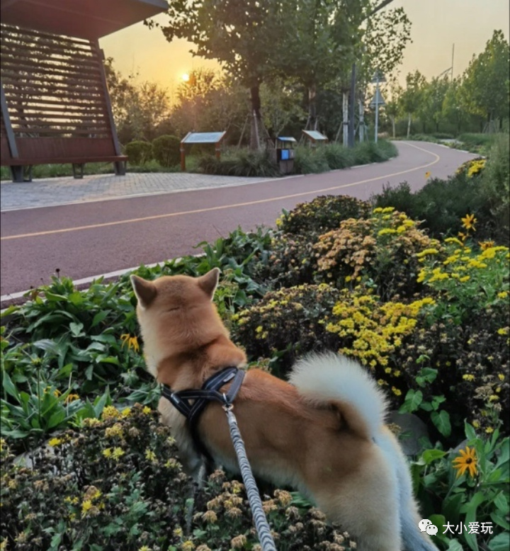 最适合遛娃的十大公园,西安超适合遛娃的10大公园