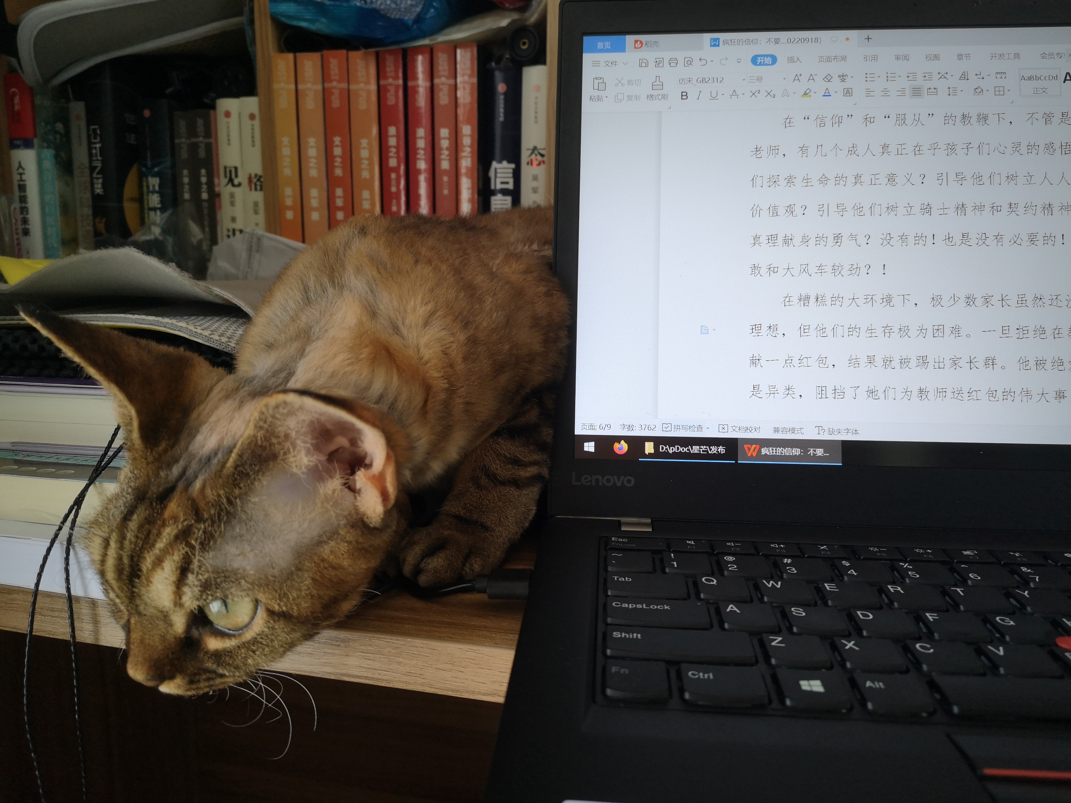 一只活得让人羡慕的猫,德文猫养育一只黄猫