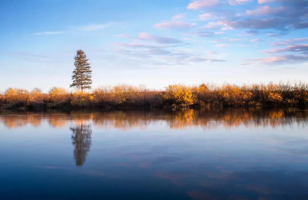 高中满分散文,高中优美散文满分