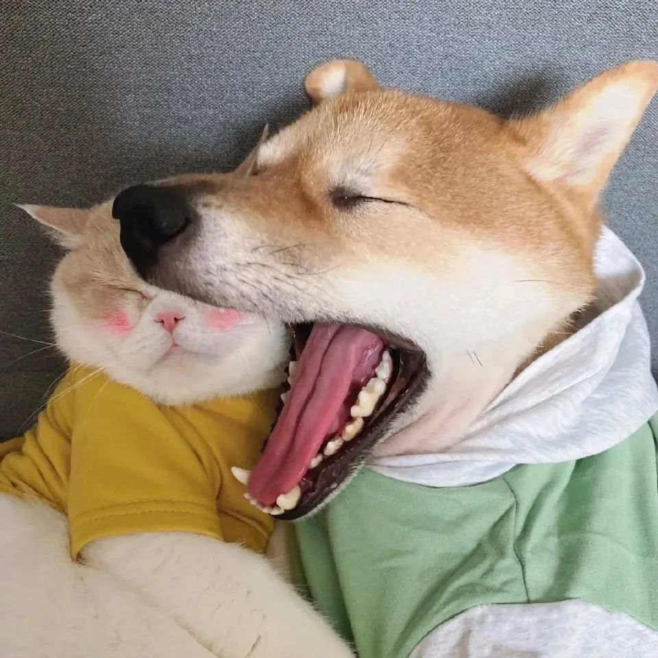 情侣头像来我身边给你温暖,情侣头像我细数时光只为与你相见