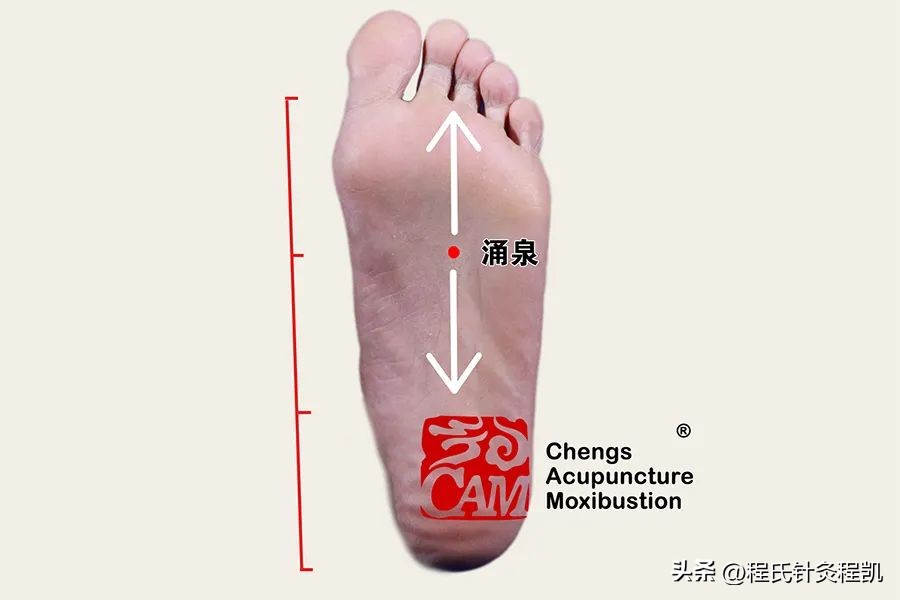 元宵团圆节，学习五脏圆运动