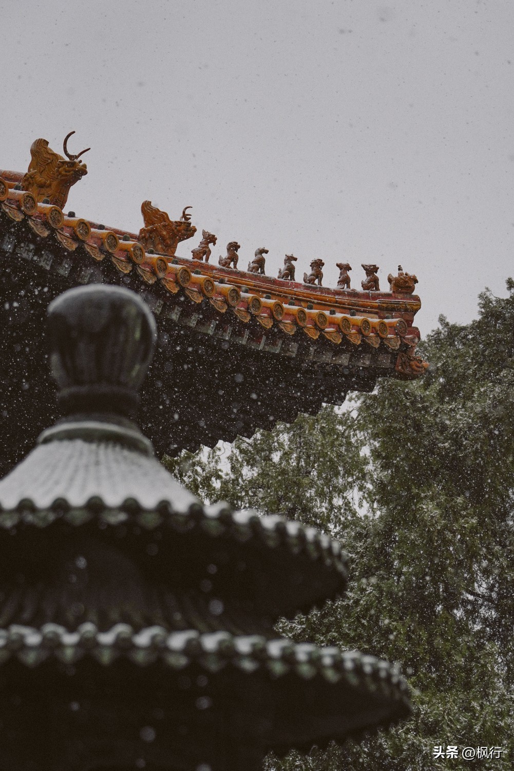 故宫开启雪景模式北京迎今冬初雪,北京下雪去哪里看故宫最好看