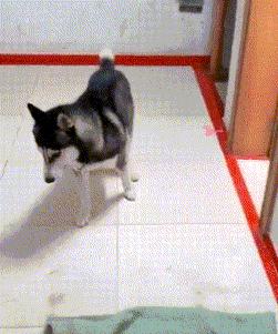 虽然我不会去纹身，但这些纹身确实有点意思：把肢体变成尺子