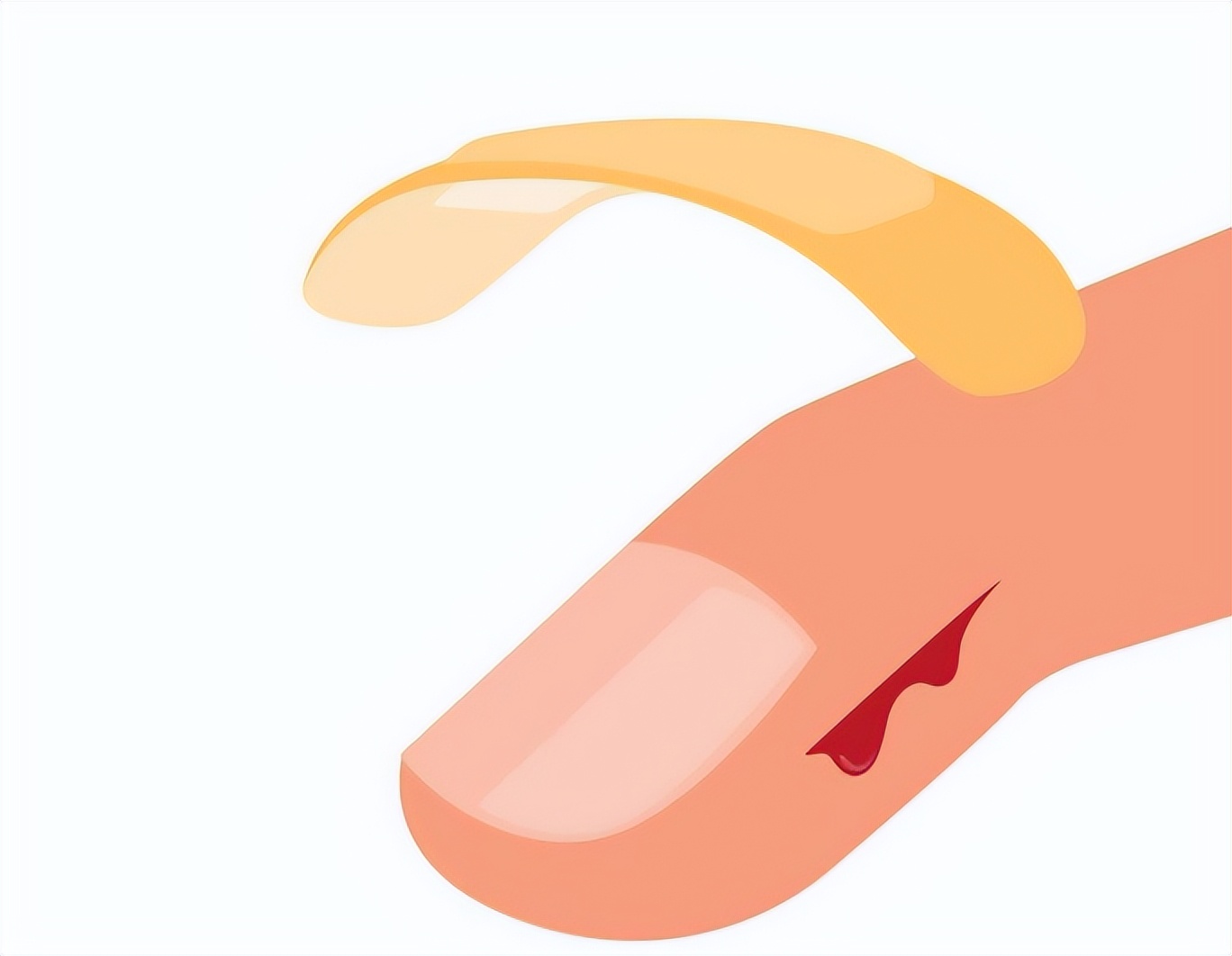 如何提高免疫力经常吃这三种食物,提高免疫力吃哪些食物最有效