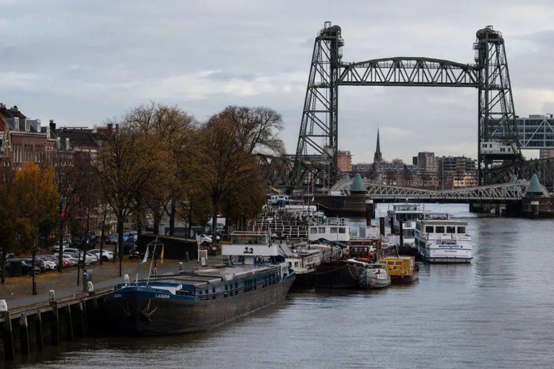 「葵花日更」网红自曝一天带货2亿净赚400万,官方介入调查