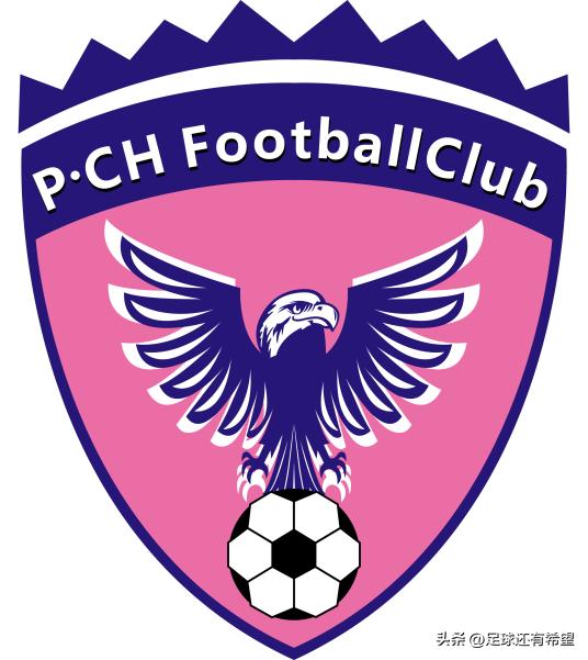 深圳新鹏城足球俱乐部前身,深圳鹏城俱乐部名单