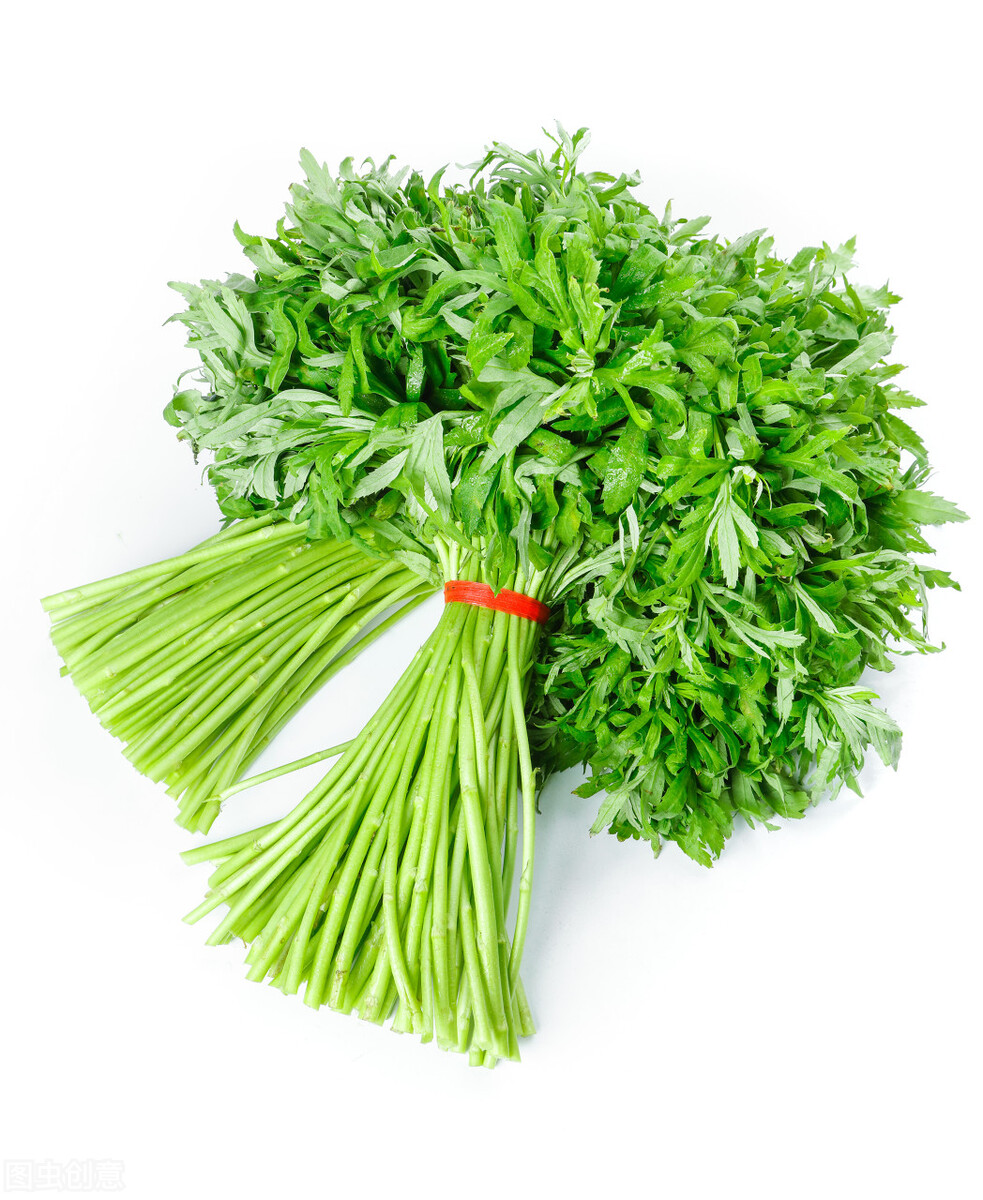 节气｜被“清明野菜游”承包的春天，看看你最爱哪一味？