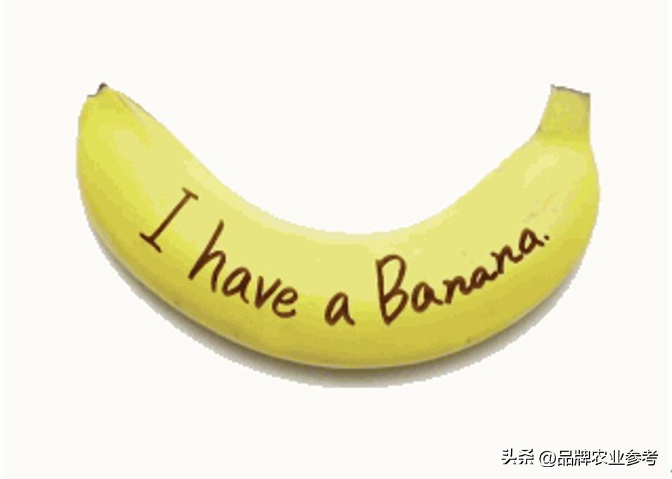 一根香蕉价值15万美金,一根香蕉卖40块钱