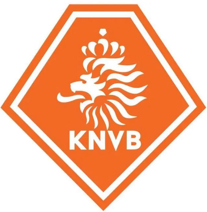 世界杯荷兰无冕之王,世界杯32强巡礼之荷兰队