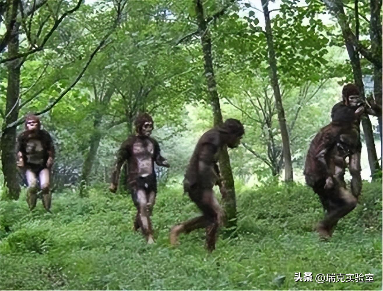 半夜搜山发现怪异生物,大鲵神秘生物