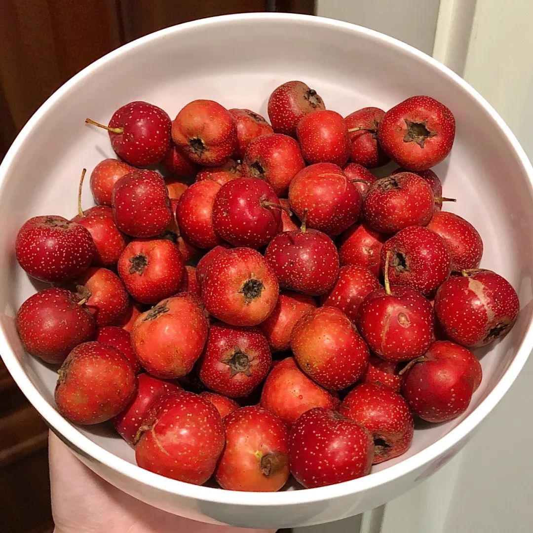 鍥炶喘骞磋揣闆堕,骞磋揣鍥炶喘闆堕