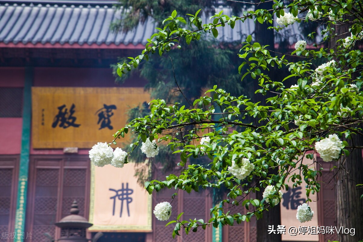 杭州机场到西湖旅游攻略,杭州西湖附近的旅游景点