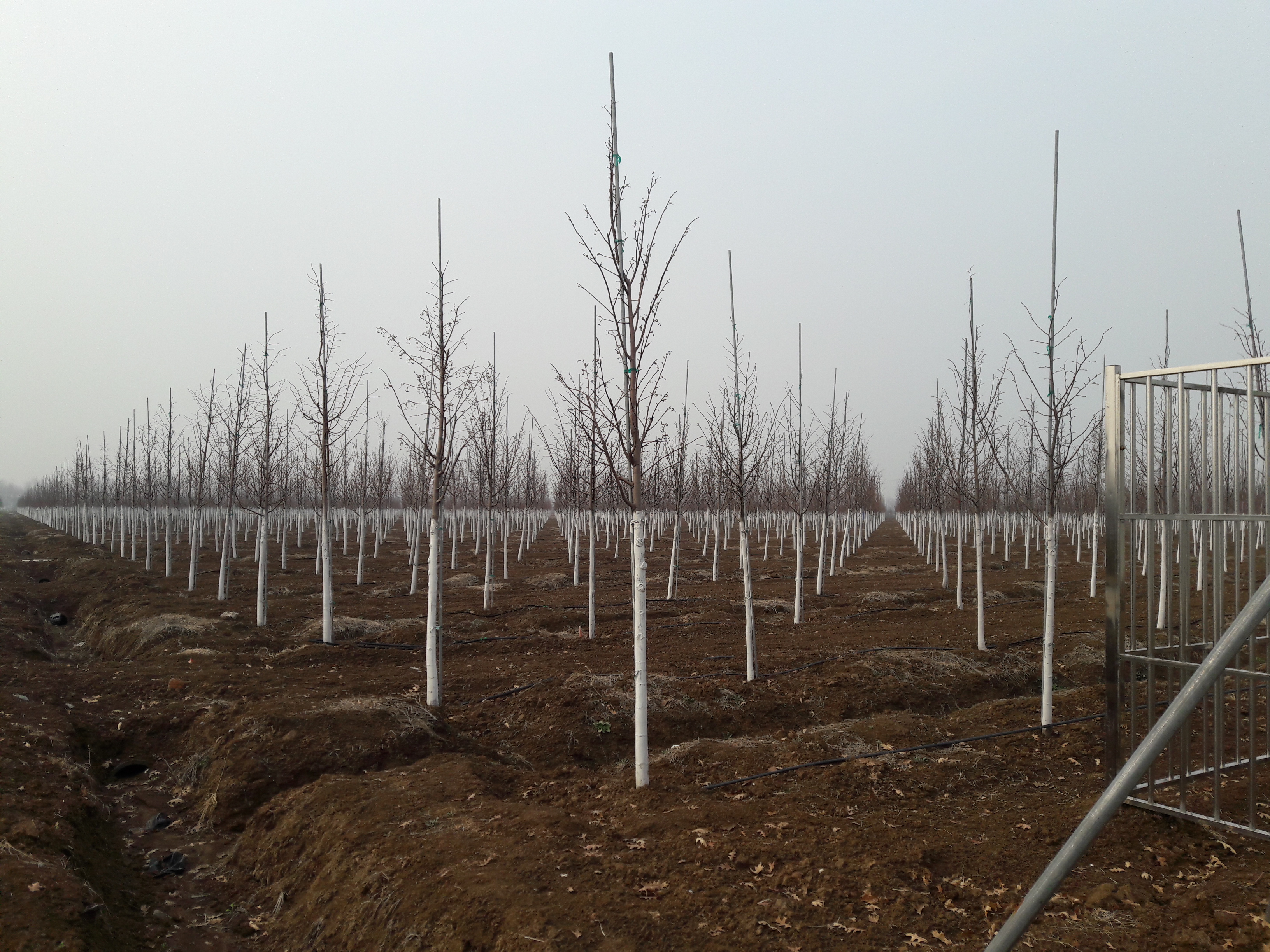 只赚不赔的投资坑,只赚不赔的投资是骗人的吗