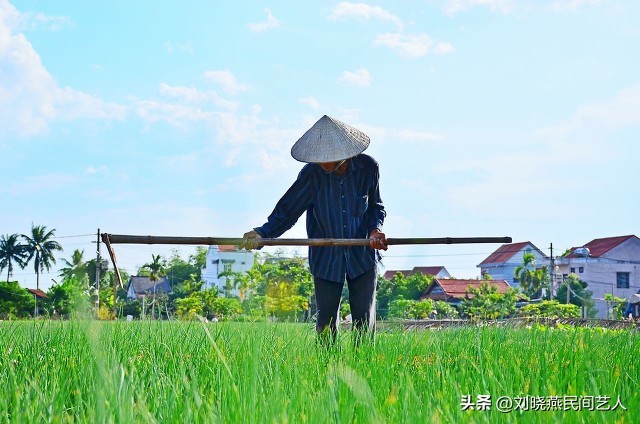 农民又开始交农业税是真的吗,重新征收农业税是真的吗