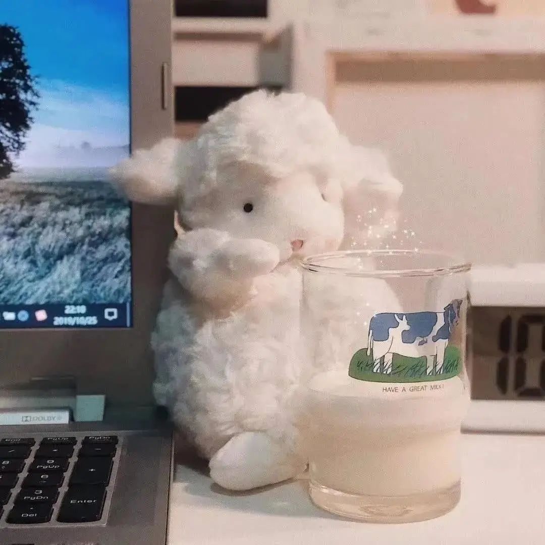 朋友圈背景送给大家,朋友圈背景送你一朵花