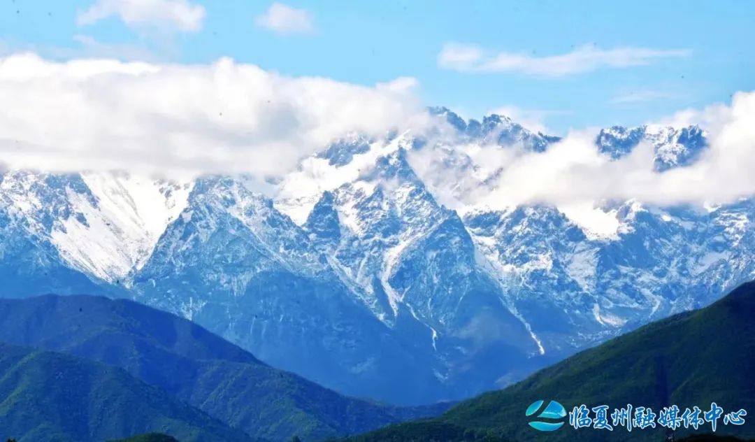 2024骞村宸磋兒閰嶈壊,缁胯壊鐨勫宸磋兒閰嶈壊