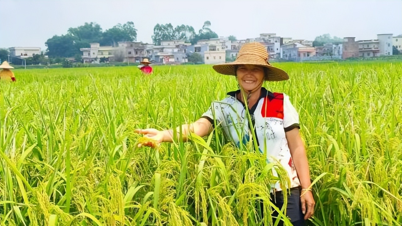 返乡创业新农人90后,创业90后新农人