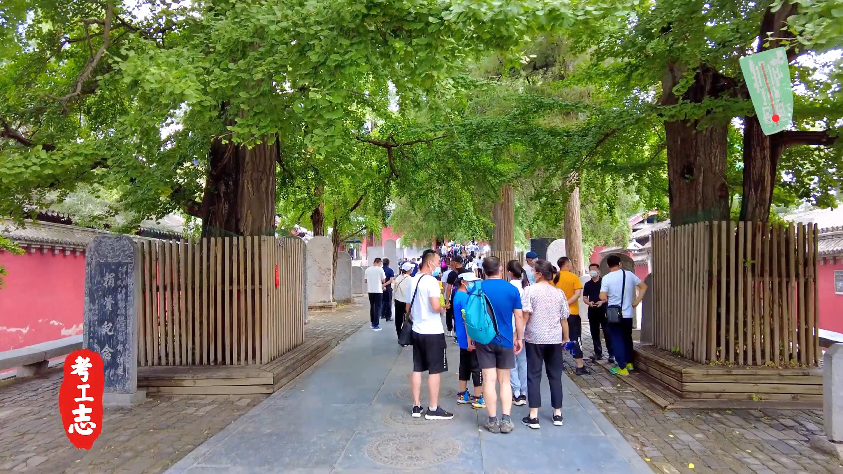 嵩山少林寺的历史背景和基本现状,少林寺传奇之火烧少林寺全集解说