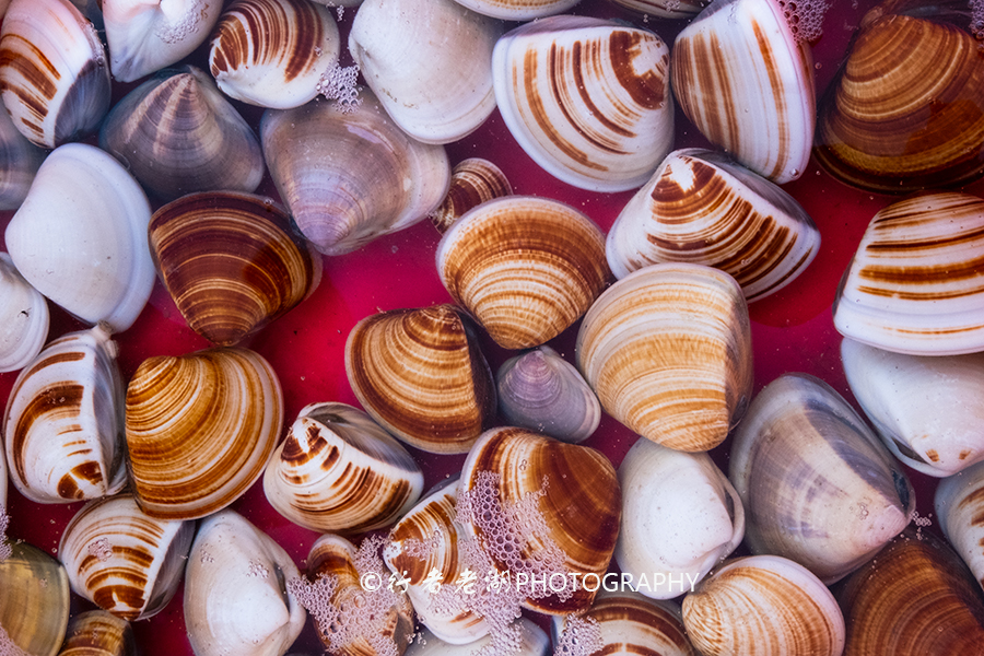 海上度假胜地及酒店,海上度假去哪里