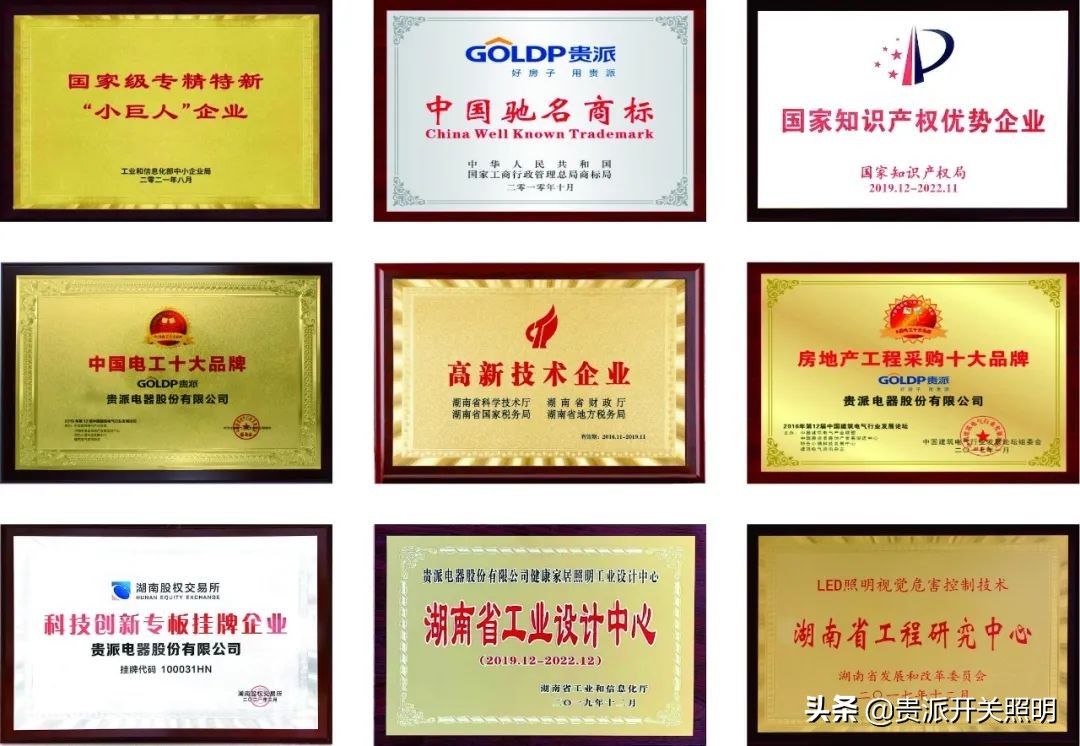 湖南国家级专精特新小巨人企业,湖南有多少家专精特新小巨人企业