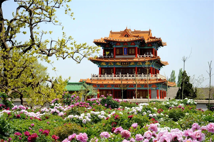 张艺谋点赞山东武校学生,被张艺谋夸的人