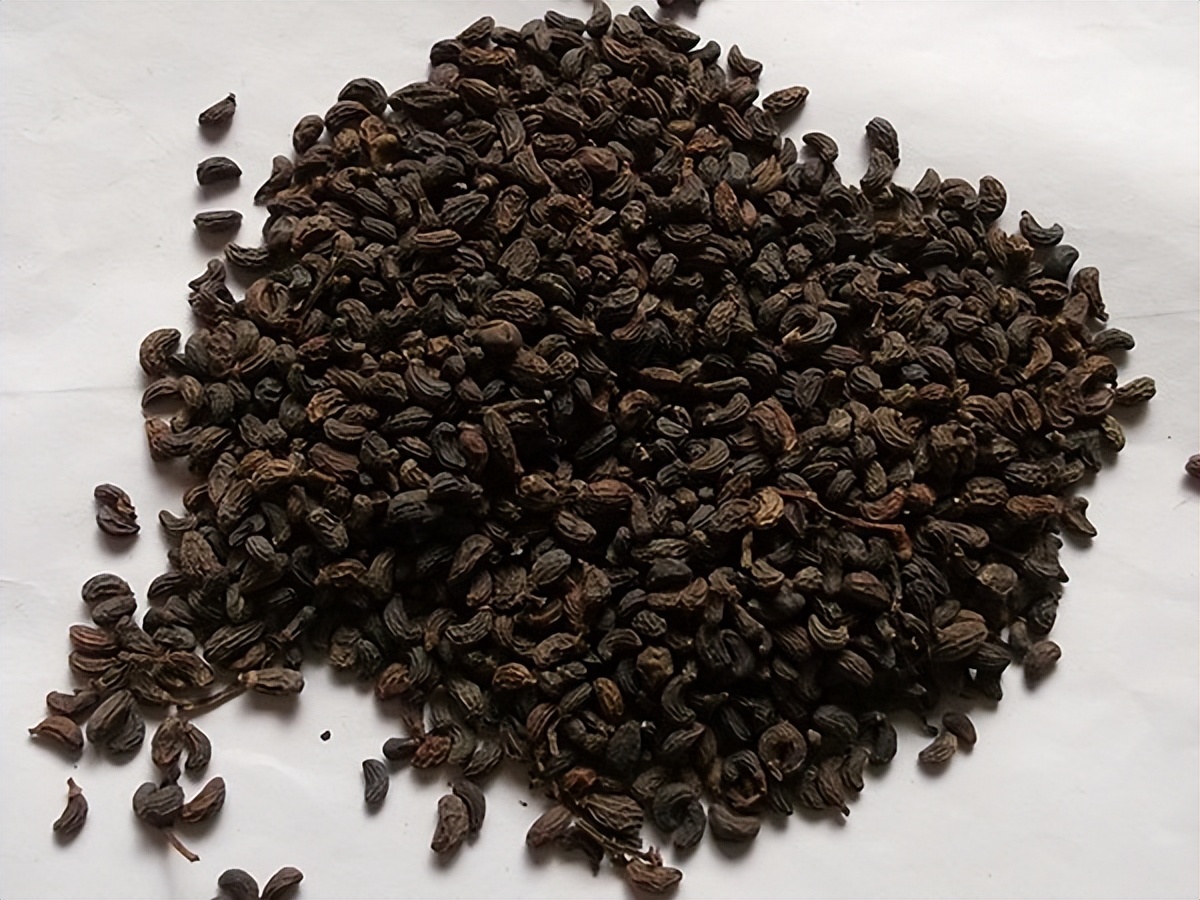 中医治疗白细胞减少症方剂,治肝肾阴虚的中药处方